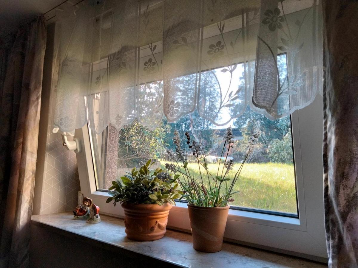 Ferienwohnung Coco Haltern am See Zewnętrze zdjęcie