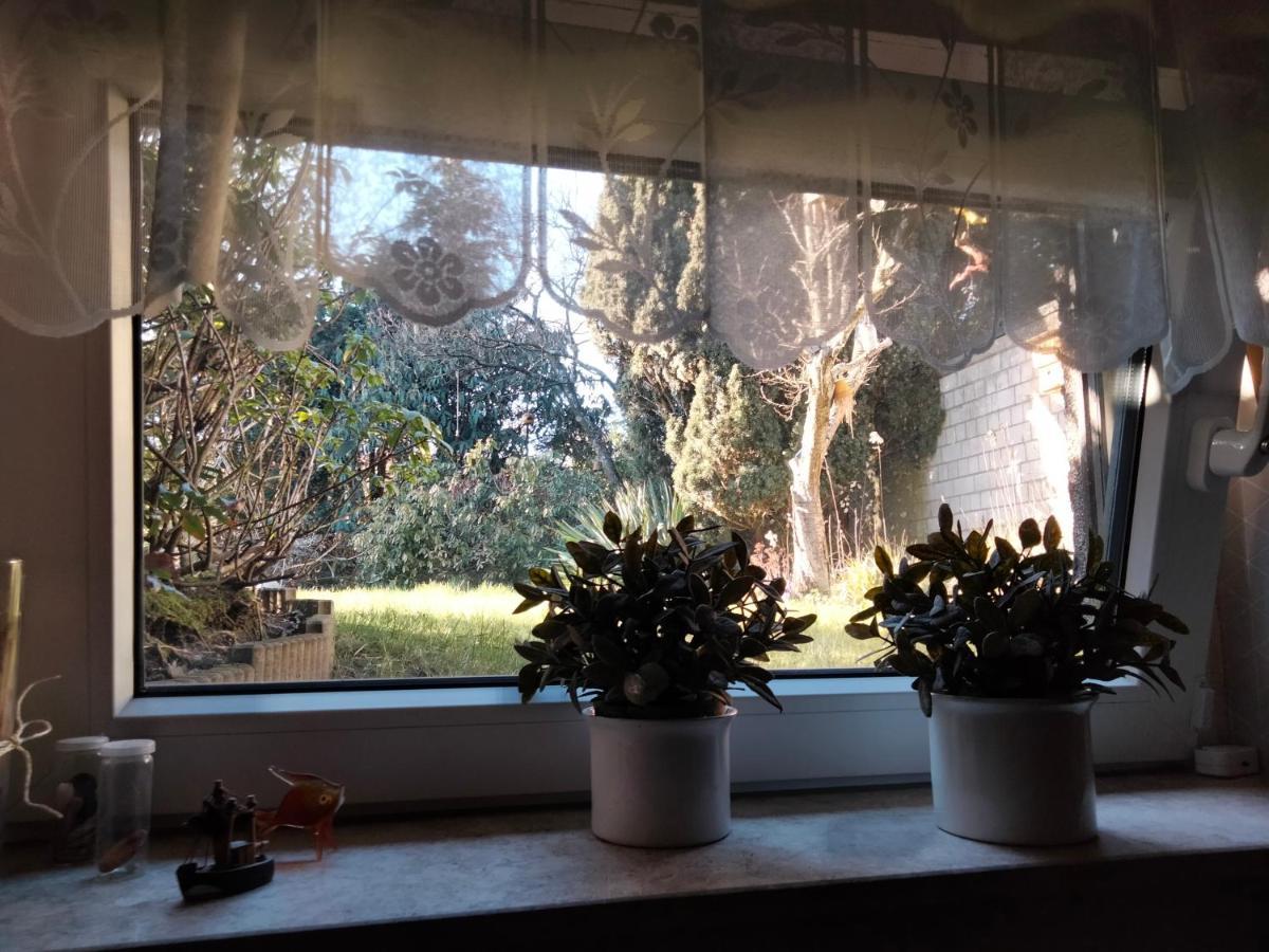 Ferienwohnung Coco Haltern am See Zewnętrze zdjęcie